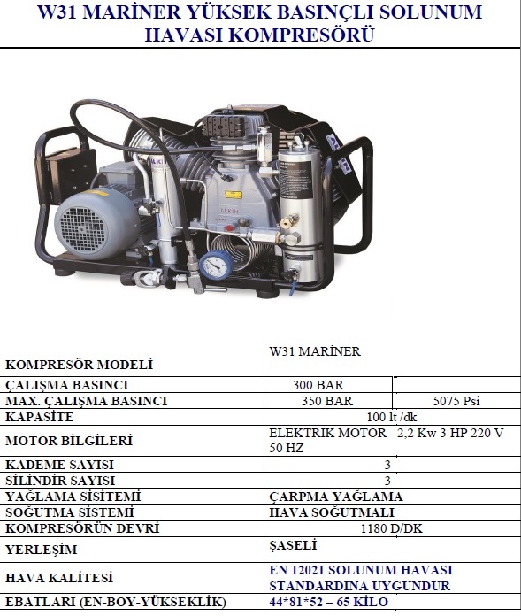 ALKİN MARİNER W31-2-300-P2 TEMİZ HAVA SOLUNUM TÜPÜ KOMPRESÖRÜ